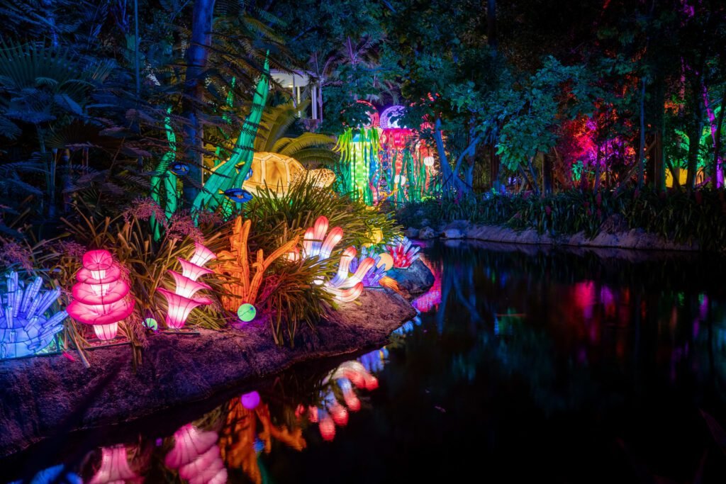Lektrik: Um Festival de Luzes.